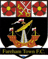 Fareham Town badge