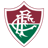 Fluminense U17 badge