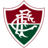 Fluminense U20 badge