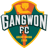 Gangwon FC badge