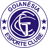 Goianésia badge