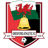 Gresford Athletic badge