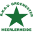 Groene Ster badge