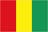 Guinea badge