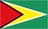 Guyana W badge