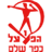 Hapoel Kfar Shalem badge