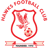 Hawks badge