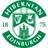Hibernian badge