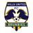 Hills Brumbies badge
