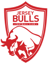 Jersey Bulls badge