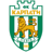 Karpaty Lviv U19 badge