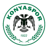 Konyaspor badge