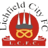 Lichfield City badge