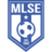 Martfűi LSE badge