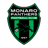Monaro Panthers badge