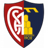 Montevarchi Calcio badge