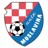 Moslavina badge
