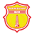 Nam Dinh badge