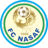 Nasaf W badge