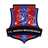 Nassaji Mazandaran badge