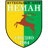 Neman badge