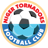 Niger Tornadoes badge