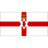 Northern Ireland badge