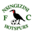 Nsingizini Hotspurs badge