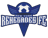 NY Renegades badge