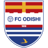 Odishi 1919 badge