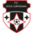 Oltul Curtişoara badge