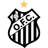 Operario Ferroviario badge