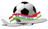 Parvoz badge