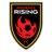 Phoenix Rising badge