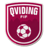 Qviding FIF badge