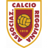 Reggiana U19 badge