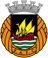 Rio Ave W badge