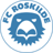 Roskilde badge