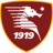 Salernitana U19 badge