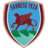 Sarnese badge