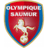 Saumur badge
