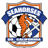 Seahorses badge