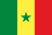Senegal badge