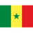 Senegal U17 badge