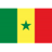 Senegal W badge