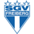 SGV Freiberg badge