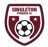 Singleton Strikers badge