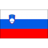 Slovenia U17 badge