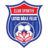 Sânmartin badge