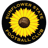 Sunflower State badge